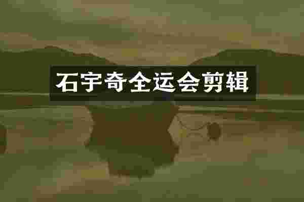 石宇奇全运会剪辑