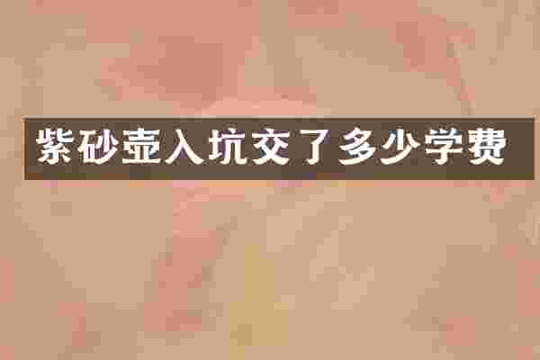 紫砂壶入坑交了多少学费