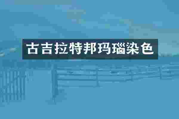 古吉拉特邦玛瑙染色