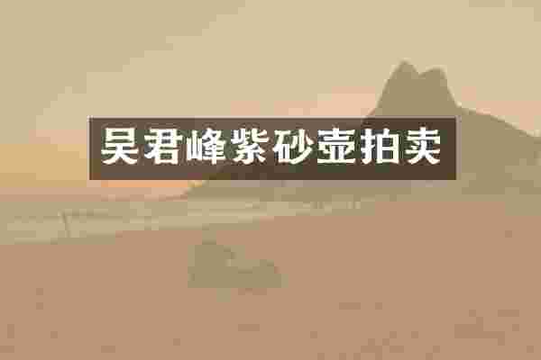 吴君峰紫砂壶拍卖