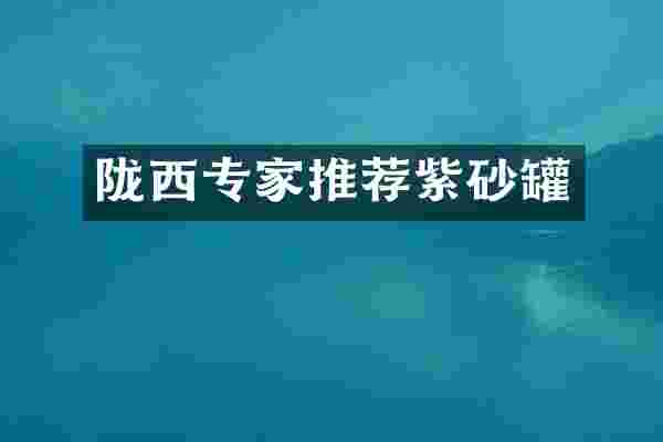 陇西专家推荐紫砂罐