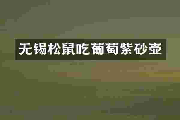 无锡松鼠吃葡萄紫砂壶
