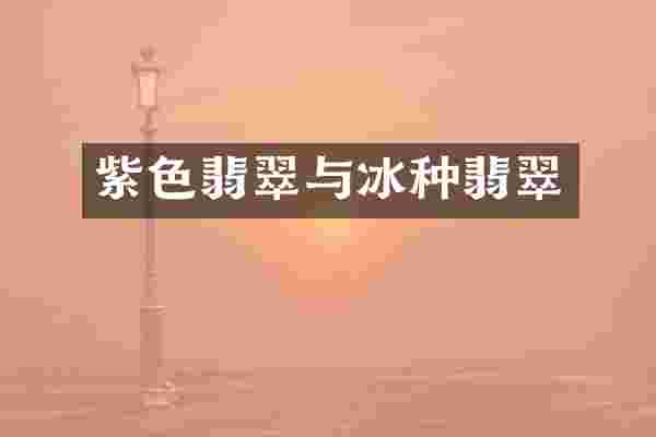 紫色翡翠与冰种翡翠