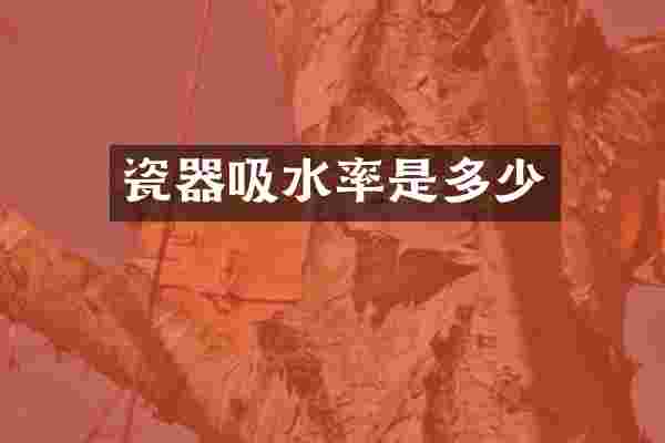 瓷器吸水率是多少