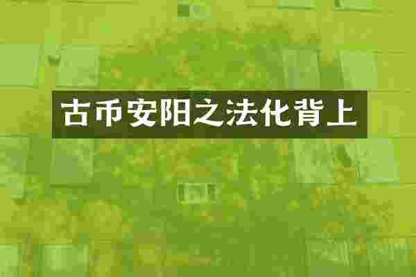 古币安阳之法化背上