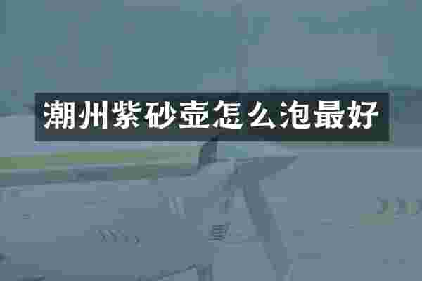 潮州紫砂壶怎么泡最好
