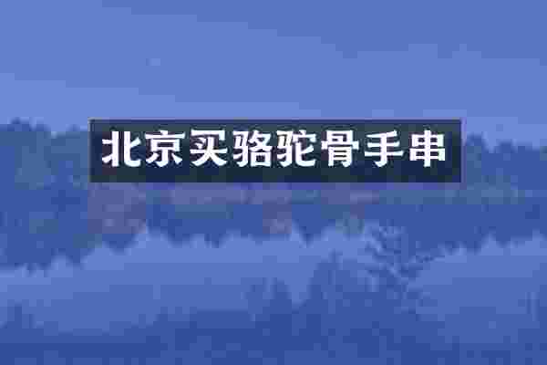 北京买骆驼骨手串