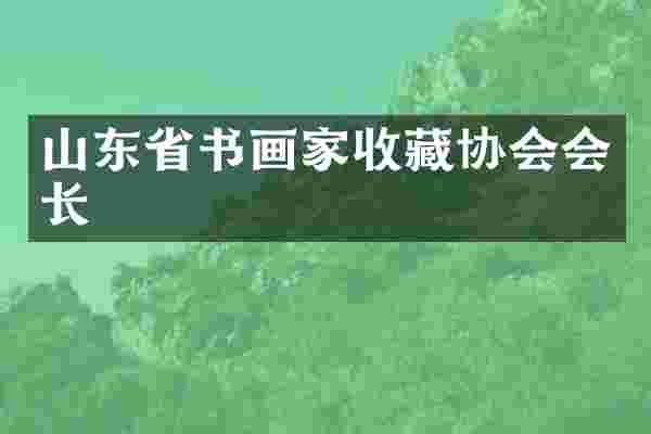 山东省书画家收藏协会会长
