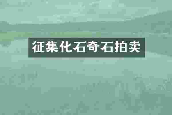 征集化石奇石拍卖