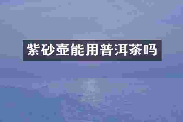 紫砂壶能用普洱茶吗