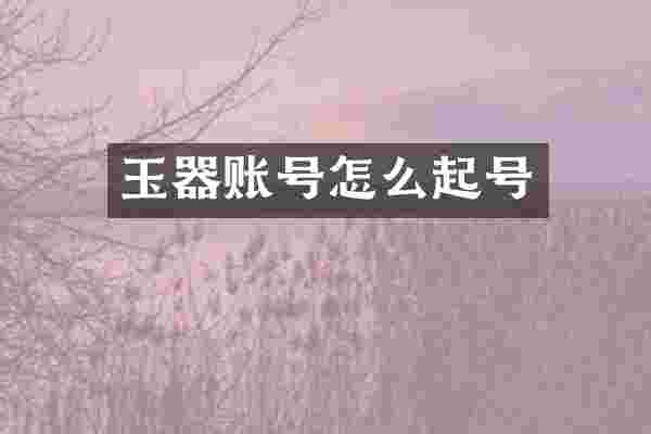 玉器账号怎么起号