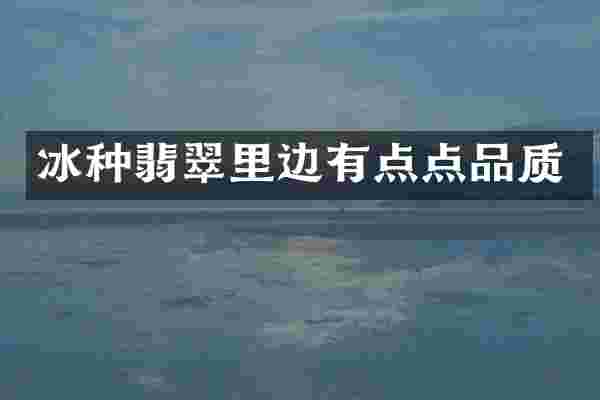 冰种翡翠里边有点点品质