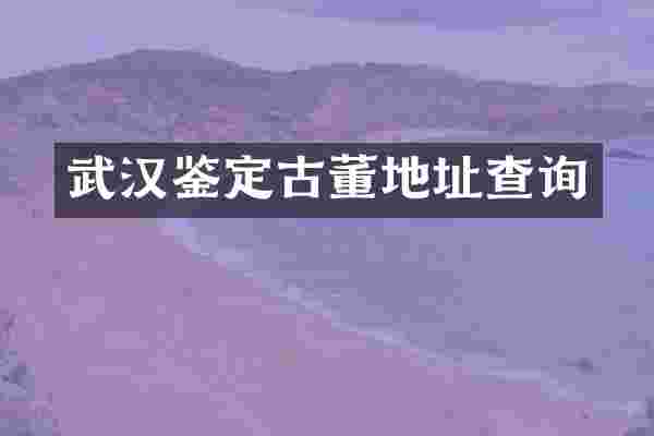 武汉鉴定古董地址查询
