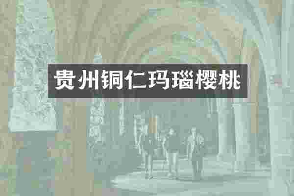 贵州铜仁玛瑙樱桃