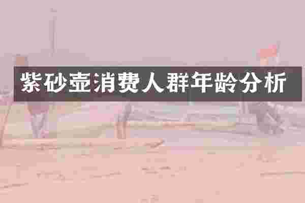 紫砂壶消费人群年龄分析