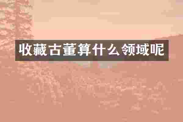 收藏古董算什么领域呢