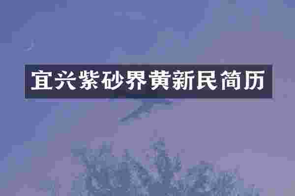 宜兴紫砂界黄新民简历