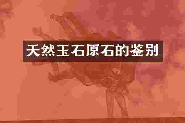 天然玉石原石的鉴别