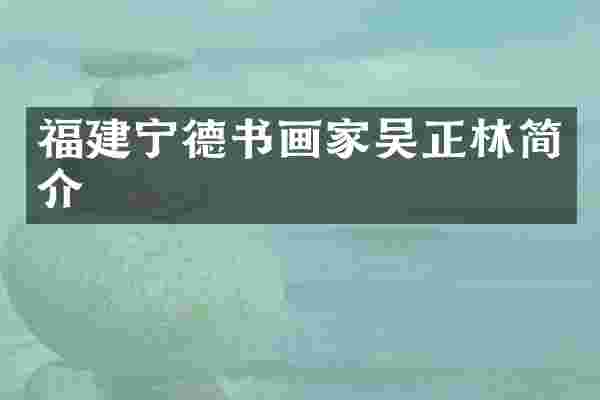 福建宁德书画家吴正林简介