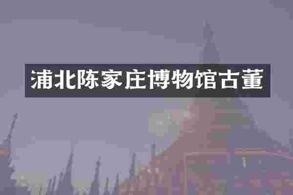 浦北陈家庄博物馆古董