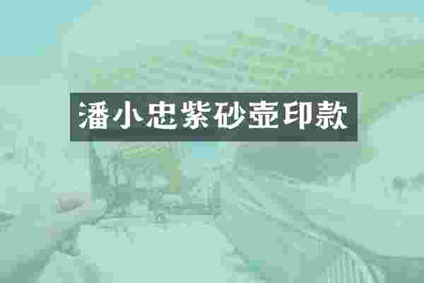 潘小忠紫砂壶印款