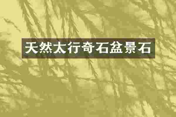 天然太行奇石盆景石