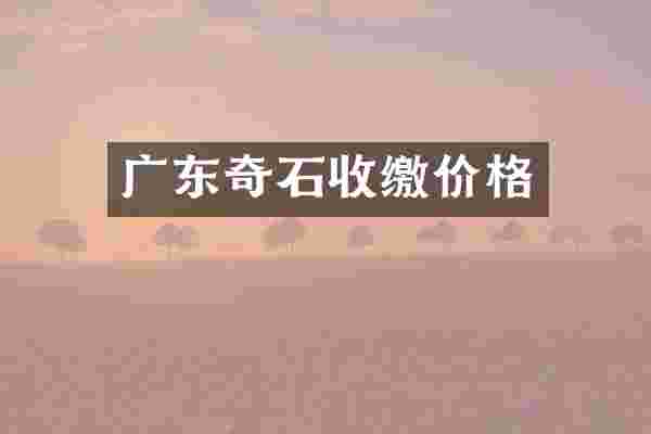 广东奇石收缴价格