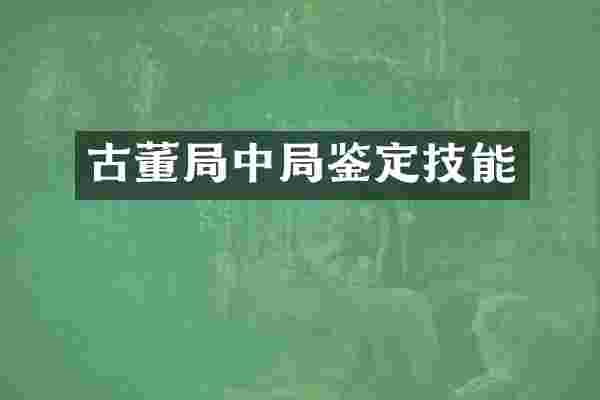 古董局中局鉴定技能