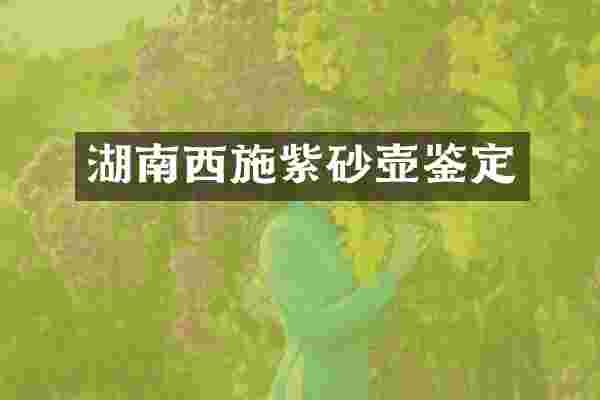 湖南西施紫砂壶鉴定