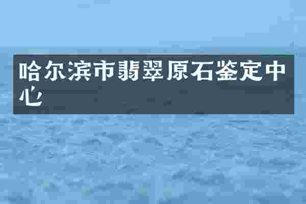 哈尔滨市翡翠原石鉴定中心