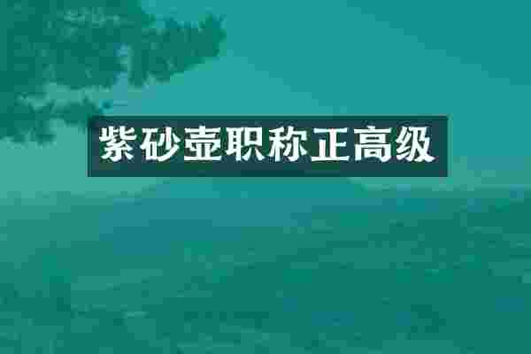 紫砂壶职称正高级