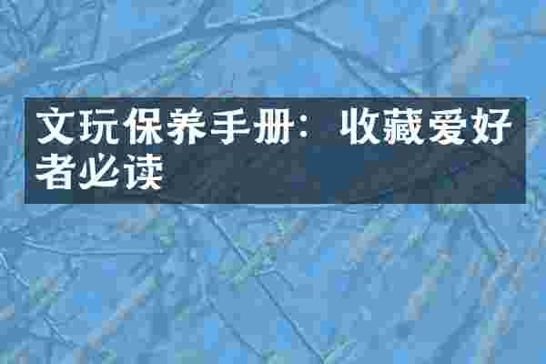 文玩保养手册：收藏爱好者必读