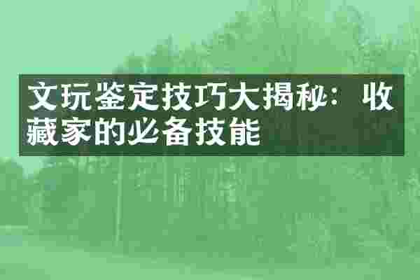文玩鉴定技巧大揭秘：收藏家的必备技能
