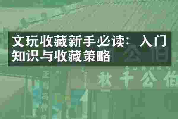 文玩收藏新手必读：入门知识与收藏策略