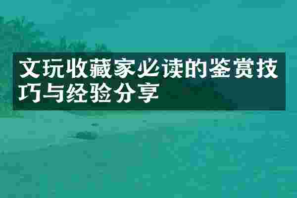 文玩收藏家必读的鉴赏技巧与经验分享