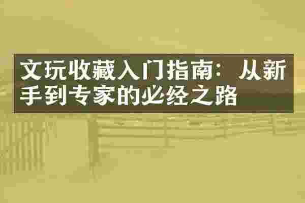 文玩收藏入门指南：从新手到专家的必经之路