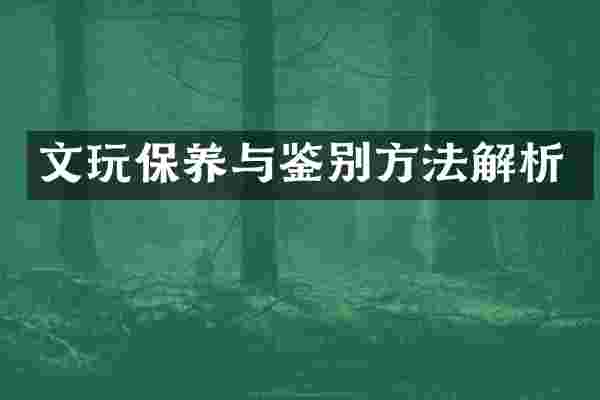 文玩保养与鉴别方法解析