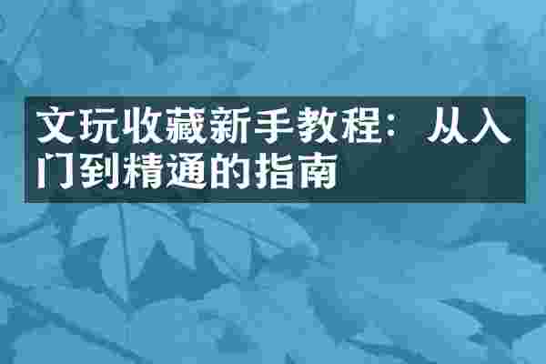 文玩收藏新手教程：从入门到精通的指南