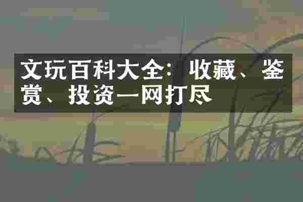 文玩百科大全：收藏、鉴赏、投资一网打尽