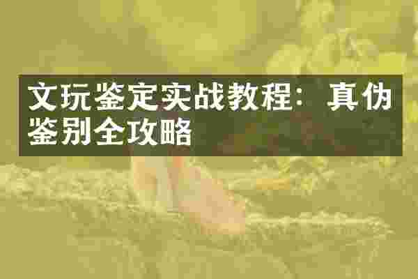 文玩鉴定实战教程：真伪鉴别全攻略