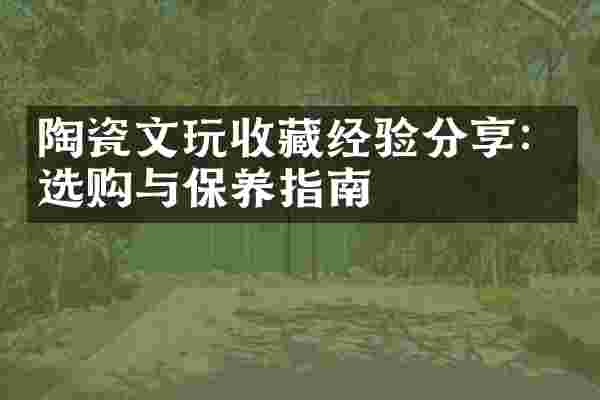 陶瓷文玩收藏经验分享：选购与保养指南