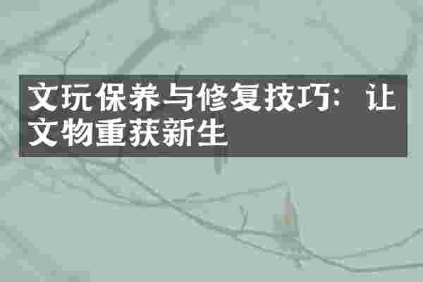 文玩保养与修复技巧：让文物重获新生