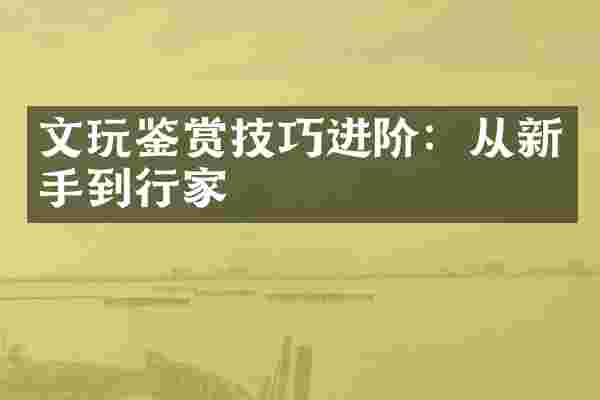 文玩鉴赏技巧进阶：从新手到行家