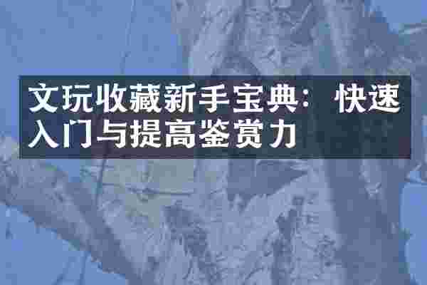 文玩收藏新手宝典：快速入门与提高鉴赏力