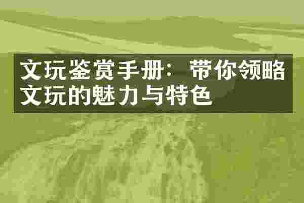 文玩鉴赏手册：带你领略文玩的魅力与特色