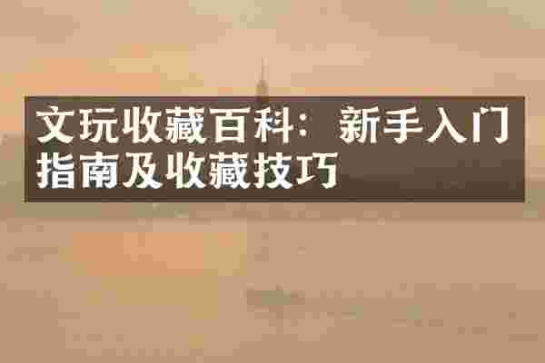 文玩收藏百科：新手入门指南及收藏技巧