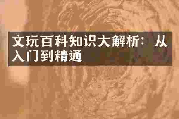 文玩百科知识大解析：从入门到精通