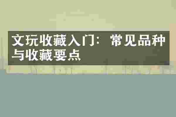 文玩收藏入门：常见品种与收藏要点