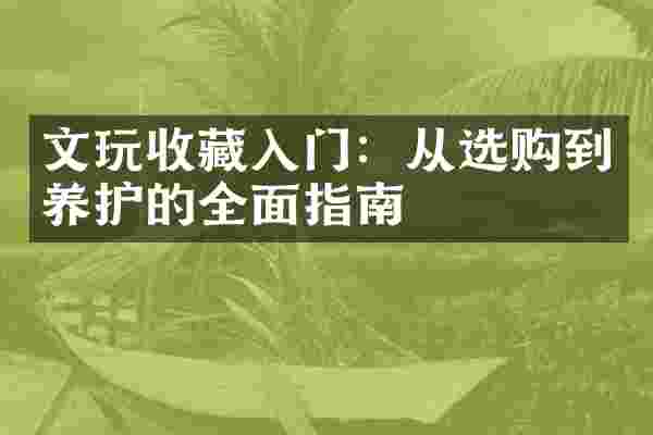 文玩收藏入门：从选购到养护的全面指南