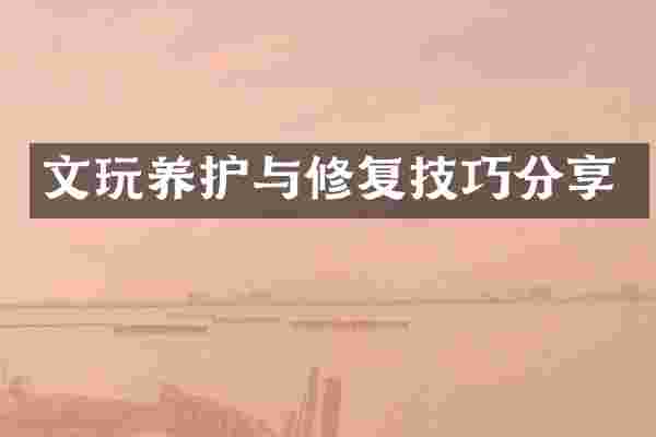 文玩养护与修复技巧分享